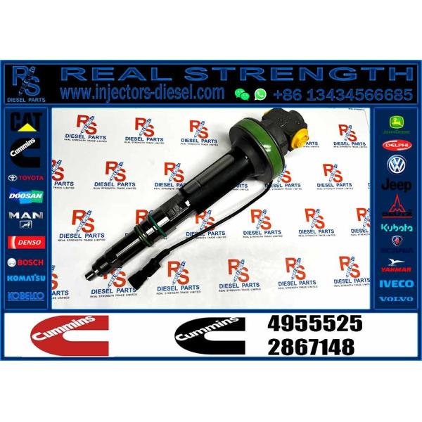 NINE BRAND высококачественный дизельный инжектор 4955525 Qsk19 инжектор инжектор топлива 4955525