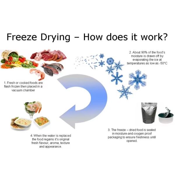 ODM OEM Supported Stainless Steel Food Processing Vacuum Freeze Drying Machine Freeze Dry Machine
