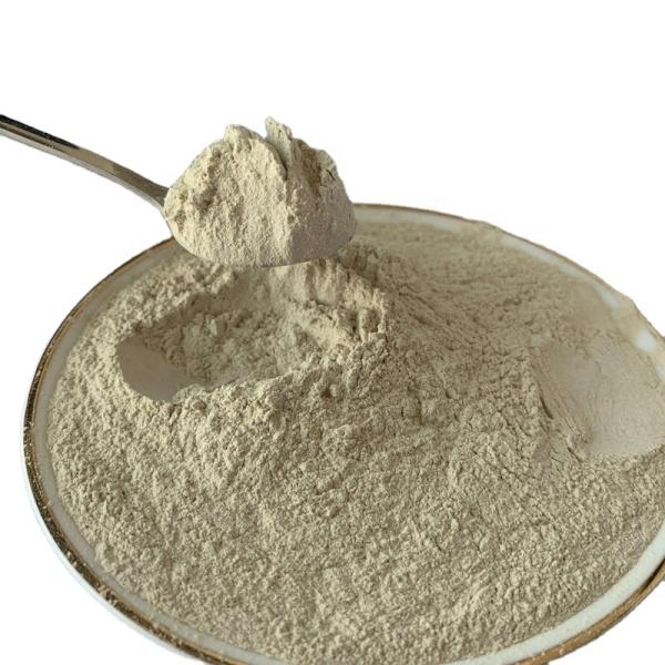 Quality Protein with Cool Storage Black Soldier Fly Protein Powder