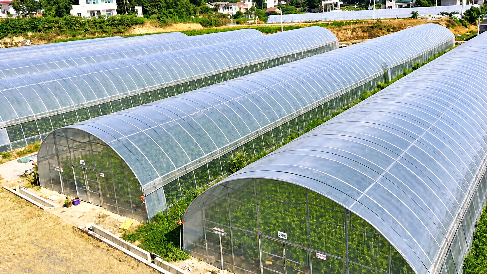 Single‑Span Round‑Arch Polyethylene Agricultural Tunnel Greenhouse, Specially Designed for Solar Light Utilization & Heat Preservation, Suitable for Protected Cultivation.