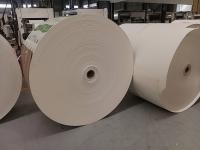 Papel Kraft de dois lados com amostras de revestimento PE 150-350gsm Resistente ao calor até 120.C