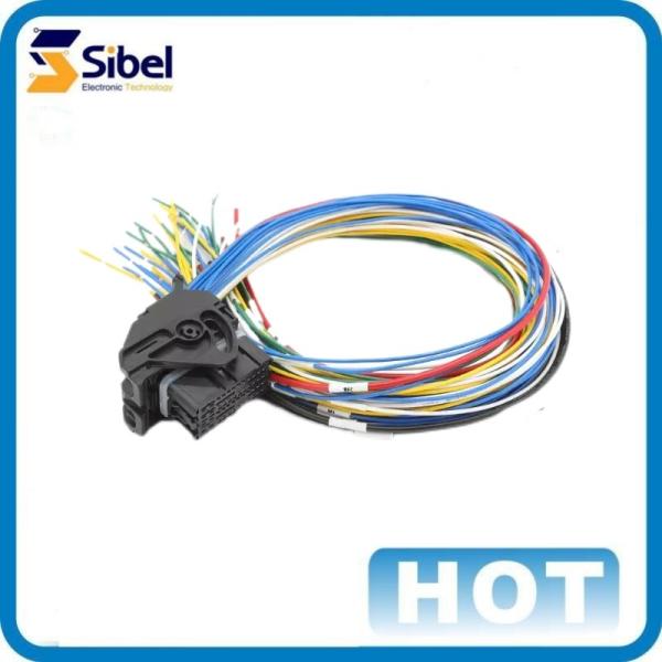 Customized Auto Electrical Wire Pigtail Wire Harness Loom Automotive Cable Assembly