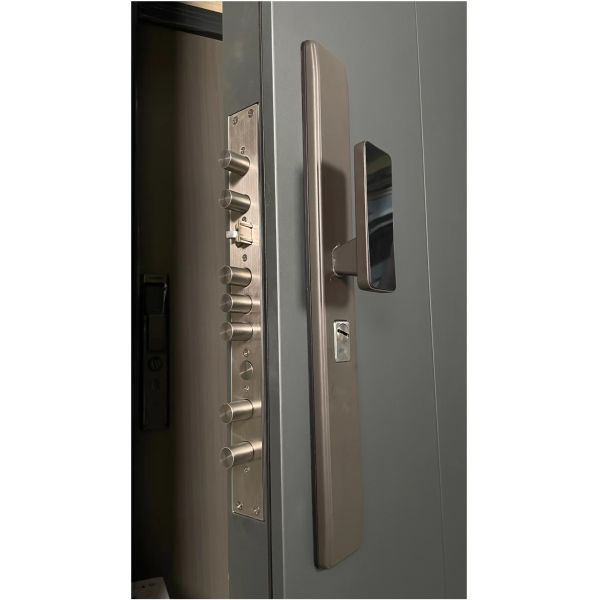 Modern Stainless Steel Entry Door Wide Door Leaf House Villa Exterior Security Door