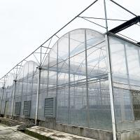 Commercial Industrial Plastic Film Agricultural Multi-span Poly Tunnel Greenhouse