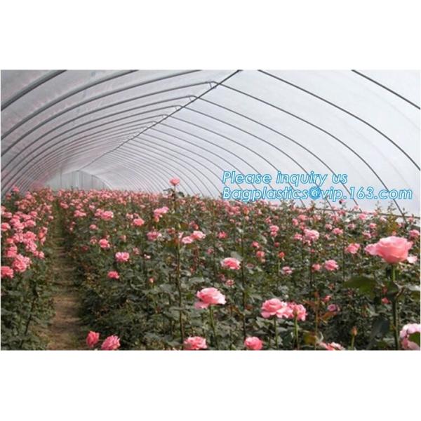 Garden tomato green house greenhouse film 3 layer eva agriculture clear plastic protective 90% transmission green house,