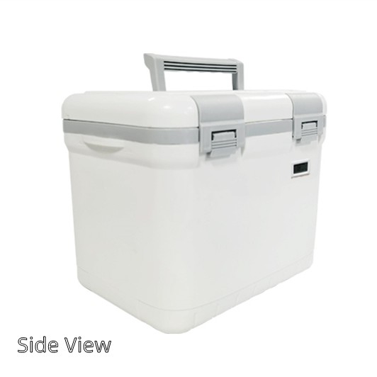 Phefon Portable 6L Hard Cooler with Comfortable Handle Design