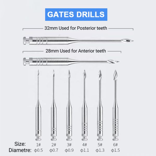 Dental Endodontic Files Stainless Steel Peeso Reamers/Glidden Gates Spiral Root Canal Drill 28/32MM #1-#6