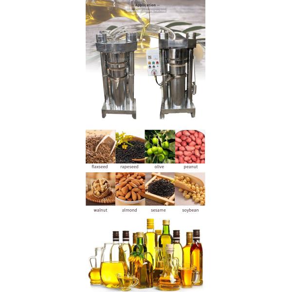 Automatic Coconut Oil Extractor Machine Press Seed Oil Mill Machinery Castor Bean Oil Expeller Machine