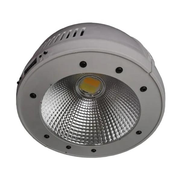 Outdoor PVC Battery Powered LED PAR Light 100W For Disco KTV Party Wedding Stage