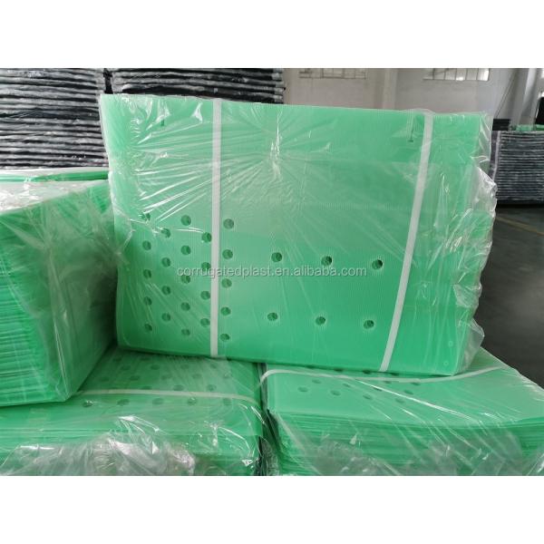 UV Stabilize Corrugated Plastic Tree Guard