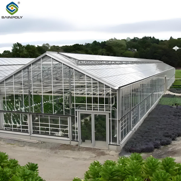 Modern Venlo Greenhouse Farming Commercial Glass Greenhouse With Steel Frame