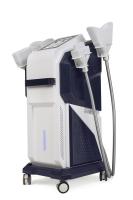 Esculpir gordo do corpo do EMS Cryo da máquina do emagrecimento do gelo de Cryolipolysis da remoção gorda