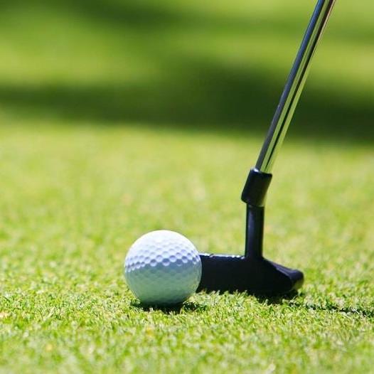15mm Artificial Grass Putting Green Suitable For House Hotel Place CE SGS Certified