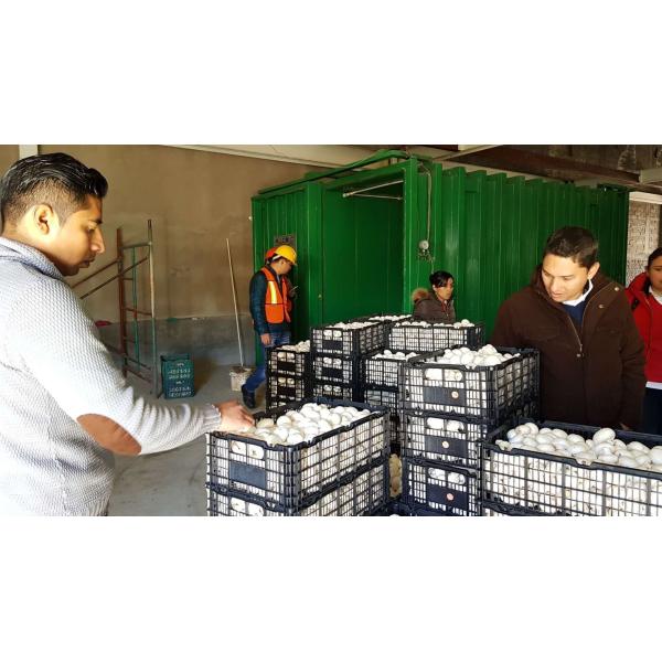 влага PLC охладителя R404A вакуума овоща 75kw испаряя