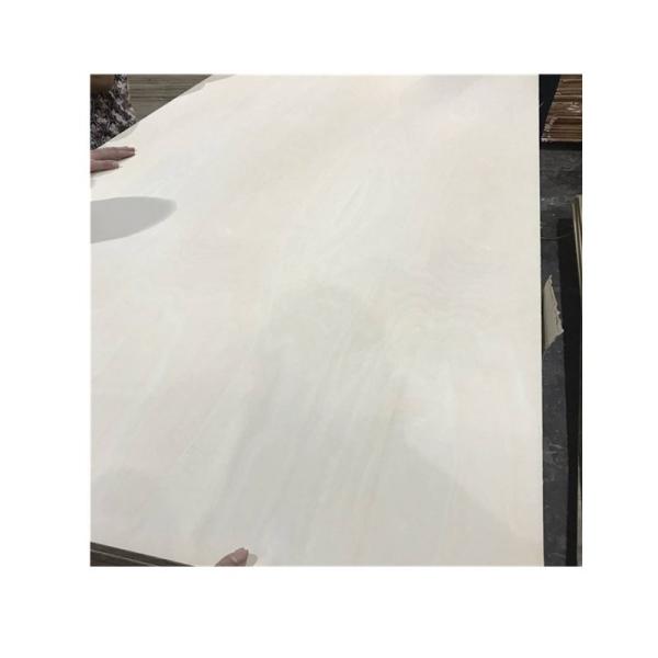 Birch Core MR WBP 915*2135mm Phenolic Faced Birch Plywood