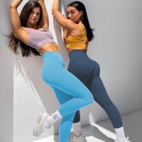 Vêtements de yoga athlétiques femmes sans couture 2 pièces ensemble leggings taille haute soutien-gorge de sport