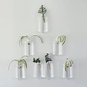 Test Tubes, 50ml - Borosilicate 3.3 Glass - 1.2mm Thick Walls, Beaded Rim - Superior Heat & Chemical Durability