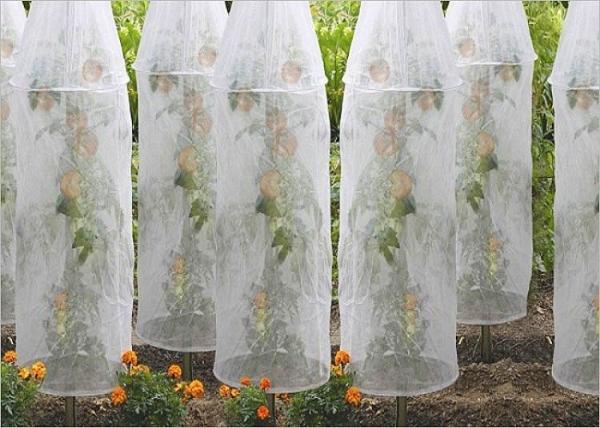 Nonwoven Ground Weed Control Fabric Fruit Cover Bag Biodegradable 100% Polypropylene