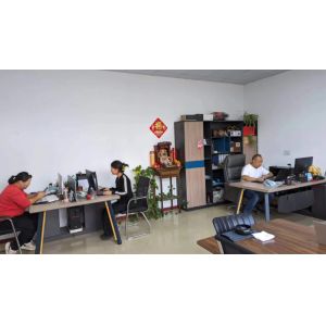 Shanghai Tengpan Trading Co., Ltd.