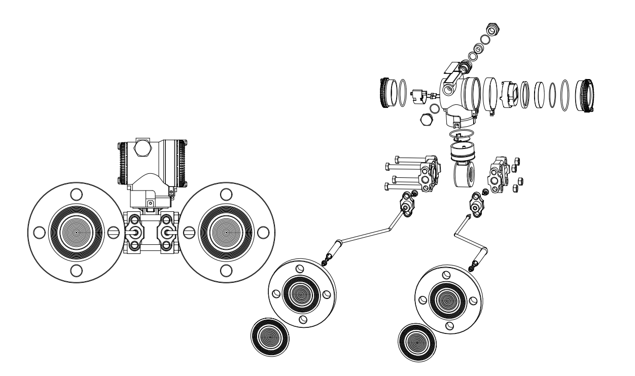 Remote Flange Liquid Level Transmitter Corrosion & Viscosity Resistant FD3051LD
