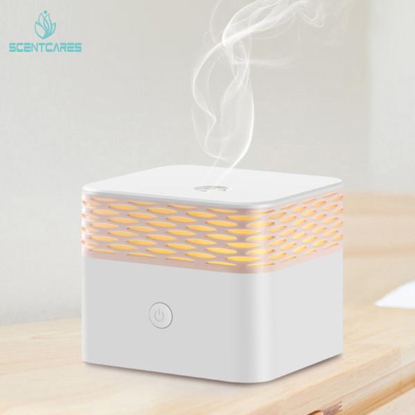 LED Warm White 100ML Essential Oil Diffuser