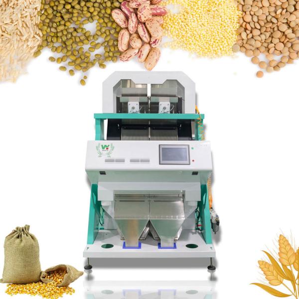 Wenyao Mung Bean Color Sorting Machine Automatic Beans Color Sorter Equipment