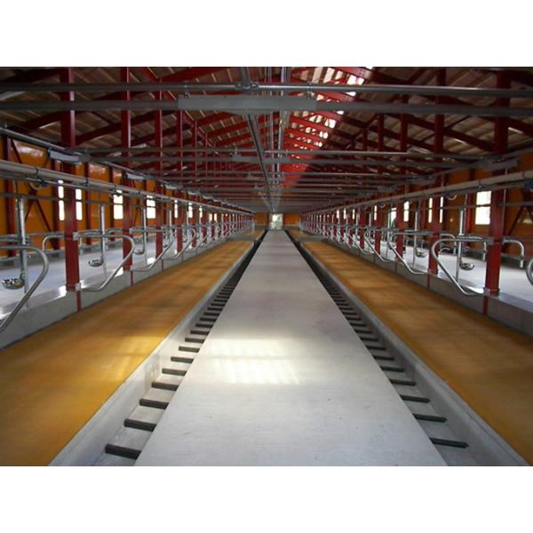 Modern Prefabricated Farm Structure Big Storage Building Shed for Poultry Sheep Dairy Farm Goat House Warehouse Barn