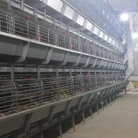 poulette de 2.5mm élevant l'équipement de Chick Cage For Egg Farming de bébé de couveuse