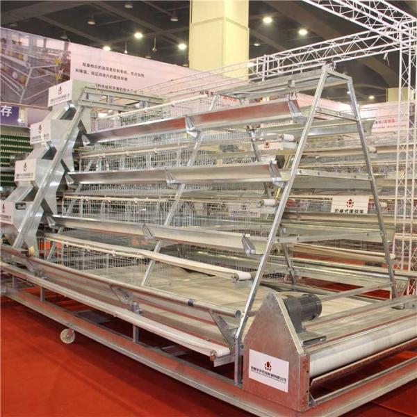 High Durability Automatic Poultry Feeder System Electrostatic Spray Surface Treatment