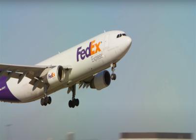DDP International Express Freight Service 3-5 Working Days Overseas Express Cargo