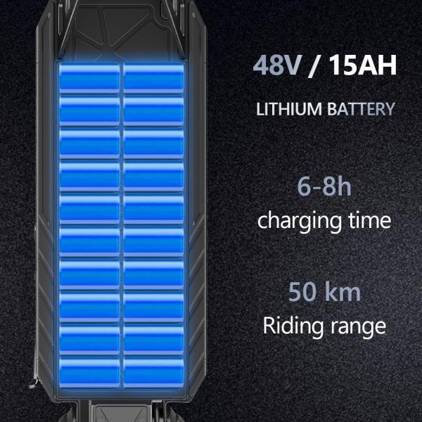 G2 PRO Adult Scooters 800W Foldable Design and Standard Voltage AC110-240V/50-60 HZ