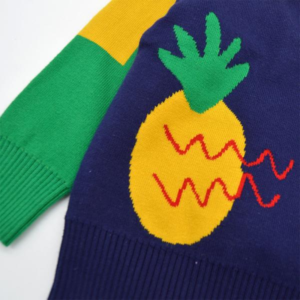 Картина ананаса Bespoke свитеры поворачивает вниз пуловер осени детей воротника