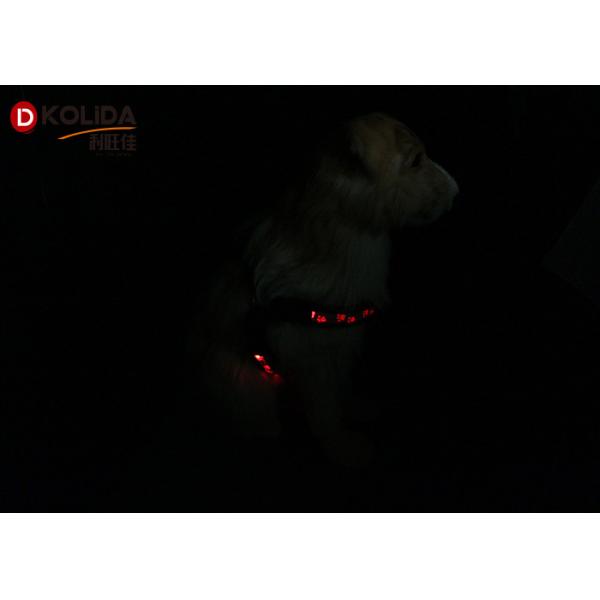 Eco - Friendly Nylon Webbing USB Rechargeable LED Dog Harness 2.5X50cm / 60cm