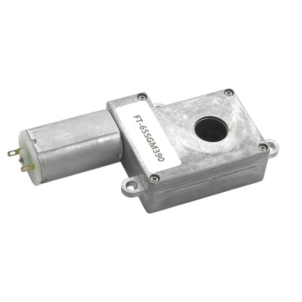 Customized High Torque High Power FT-65SGM390 6v 8v 12v 24V   DC Worm Gear Motor for Smart Door Lock