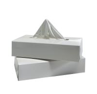 Home Papel de tecido seco suave e amigável para a pele com forte absorção de água 2 camadas