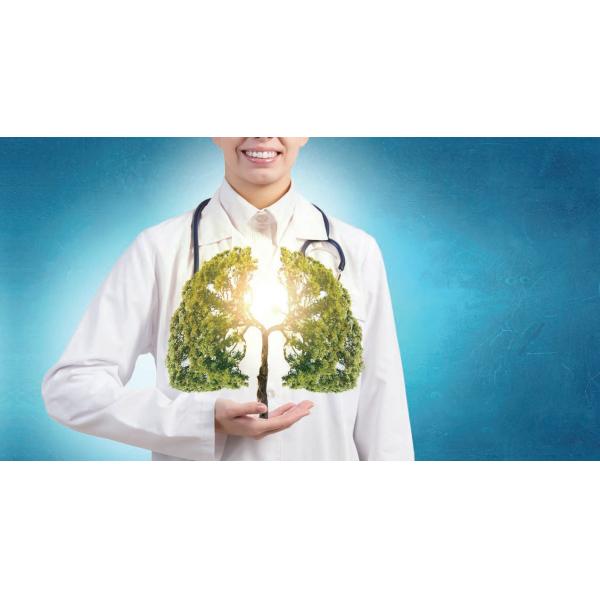 S1600 машина экрана ICU TFT вентилятора 10,4 больницы ICU» дыша