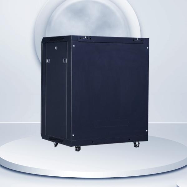 Private Mold Yes 12U Standard 19 Inch Data Center Server Rack/Wall-Mounted Network Cabinet