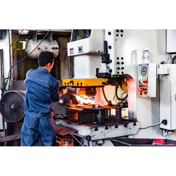 Carbon Steel Heavy Duty Trailer Weld On D Ring Forging Process and Surface Treatment