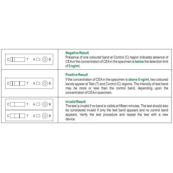 CEA Tumor Marker Test Strip Blood Specimen Two Site Sandwich Immunoassay