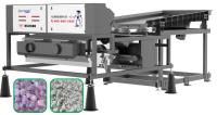 Machine précise de trieuse de couleur de quartz de retrait avec la caméra CCD