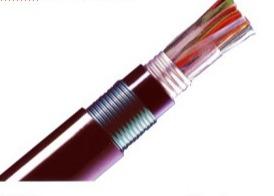 HYA53 CAT LAN Cable