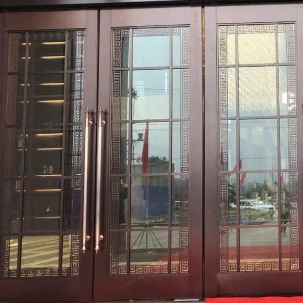 Hairline Front House Double Doors Stainless Steel Main Door Customized
