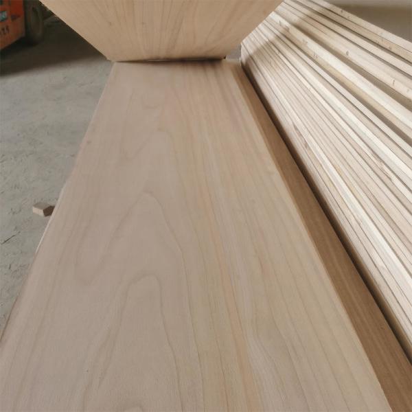 E0 E1 Standard Hardwood Furniture Board Paulownia Wood Surfboard