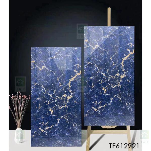 A porcelana lustrada vitrificada apartamento telha o interior lustroso azul do corpo 60x120 completo