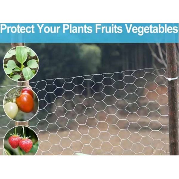 Galvanized Hexagonal Wire Mesh For Durable Fence