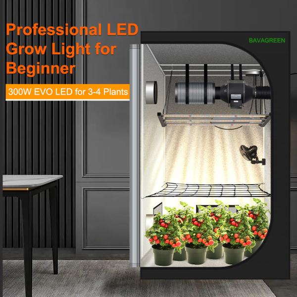 BAVAGREEN 300W Samsung LM301H EVO Mint White LED Grow Light Full Spectrum UV IR LED Plant Lamp for 120x60 Growbox