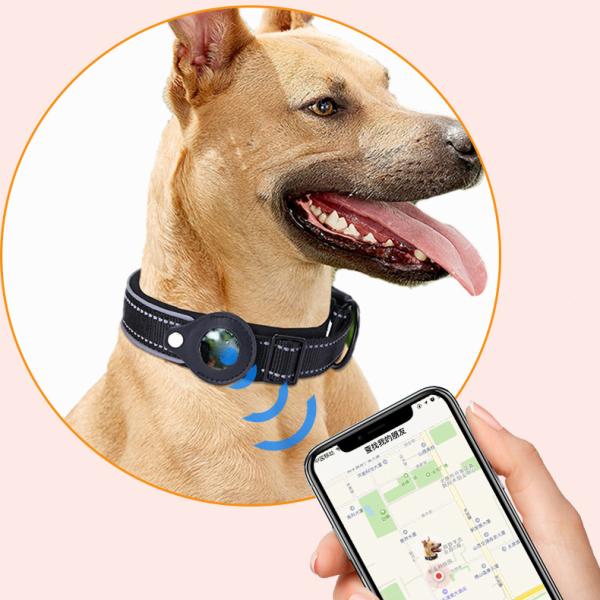 Orange Blue GPS Air Tag Dog Collar Nylon Cat Collars Adjustable Custom Logo
