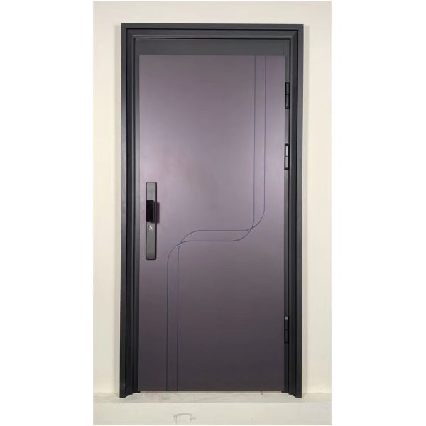 Sturdy Steel Exterior Entrance Door For Office Apartment Exteriors