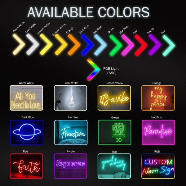 Power Supply Plug Neon Light Wedding Sign for White Diamond Shipping Hang/Mount/Stand