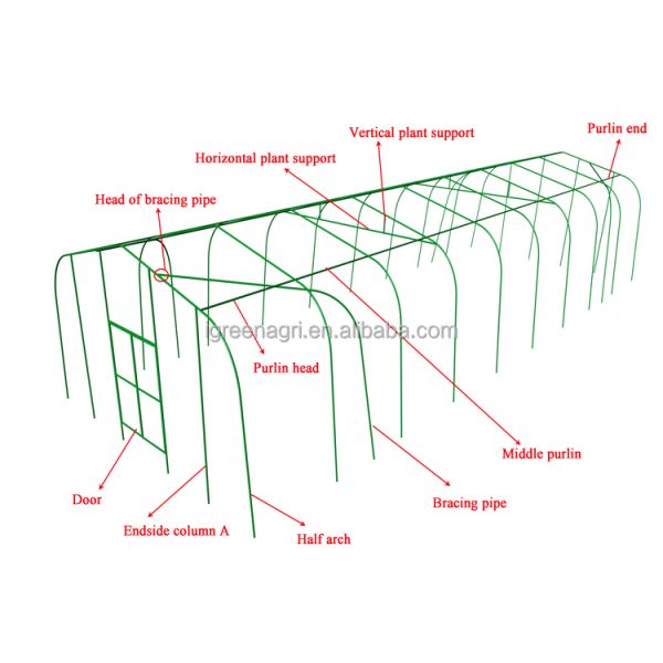 China Small Single-Span Low Tunnel Greenhouse with PE Film Cover Customizable Length